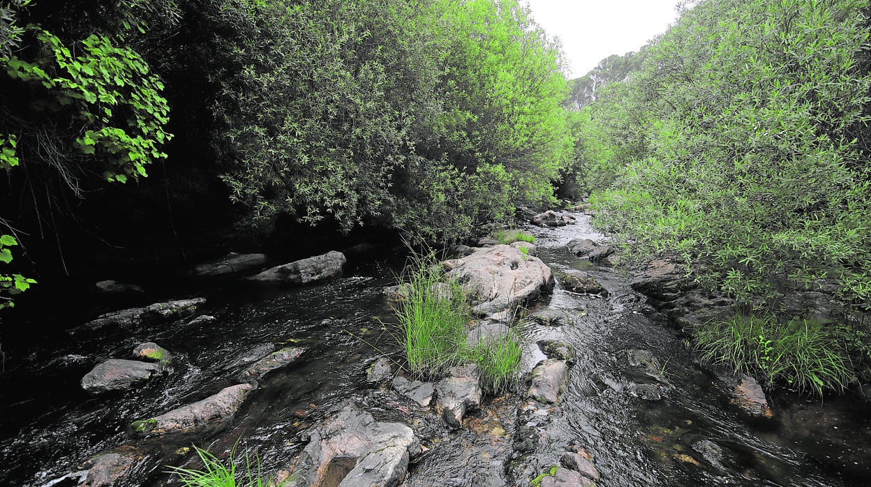 Un paraje de Sierra Morena en la provincia de Córdoba