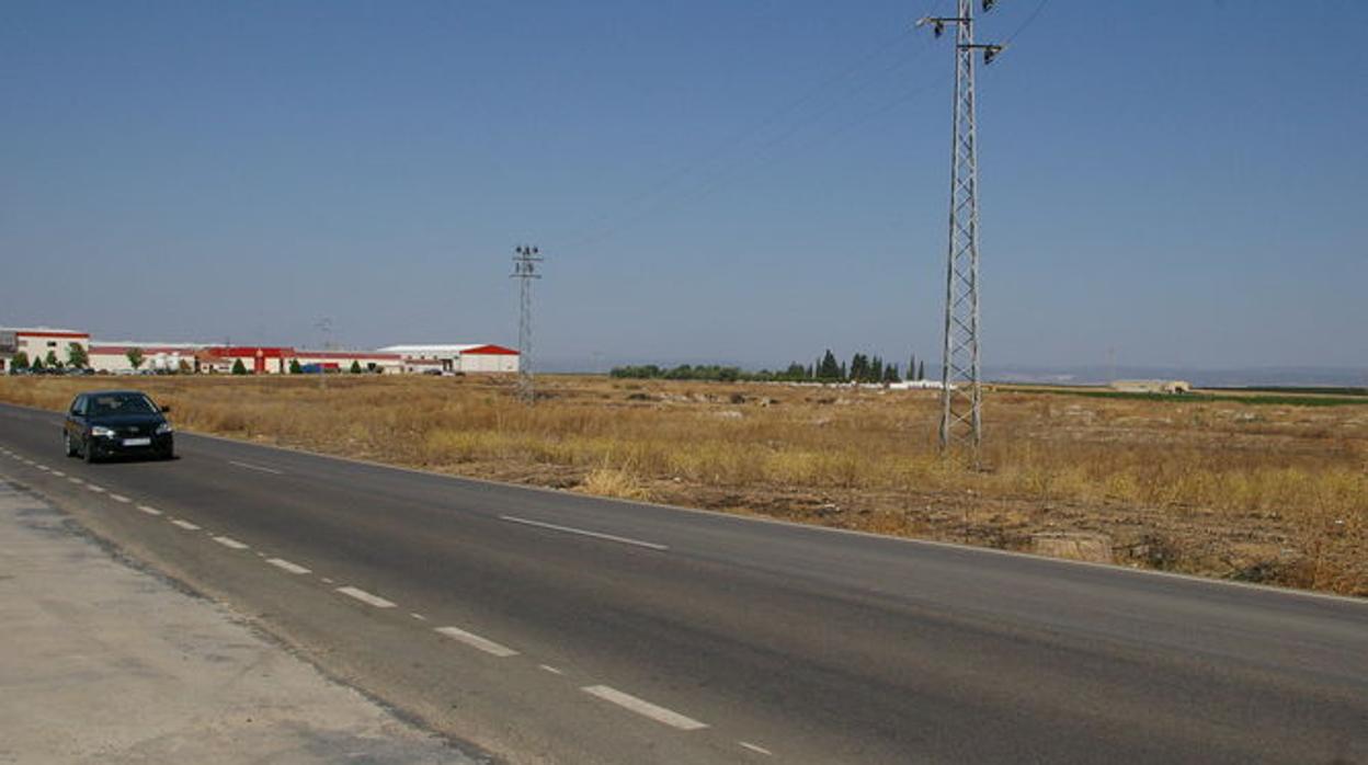 Terrenos donde se construirá el polígono de Los Fruteros, en Fuente Palmera