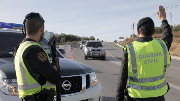 El documento para transportar aceitunas que acredita su legítima procedencia, en octubre de 2019