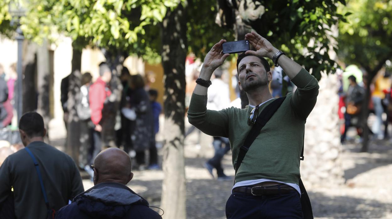 Un turista en el Patio de los Naranjos de la Mezquita-Catedral de Córdoba