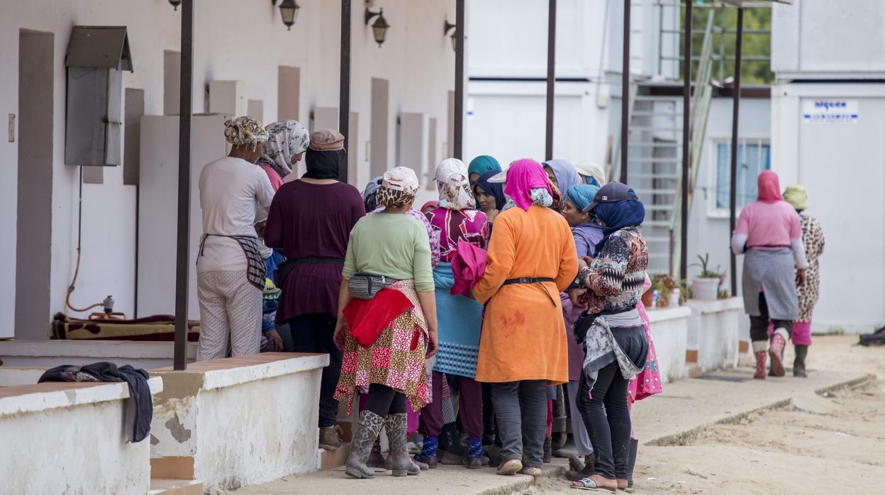 Trabajadoras de fresas temporeras marroquíes en las viviendas de una finca de fresas