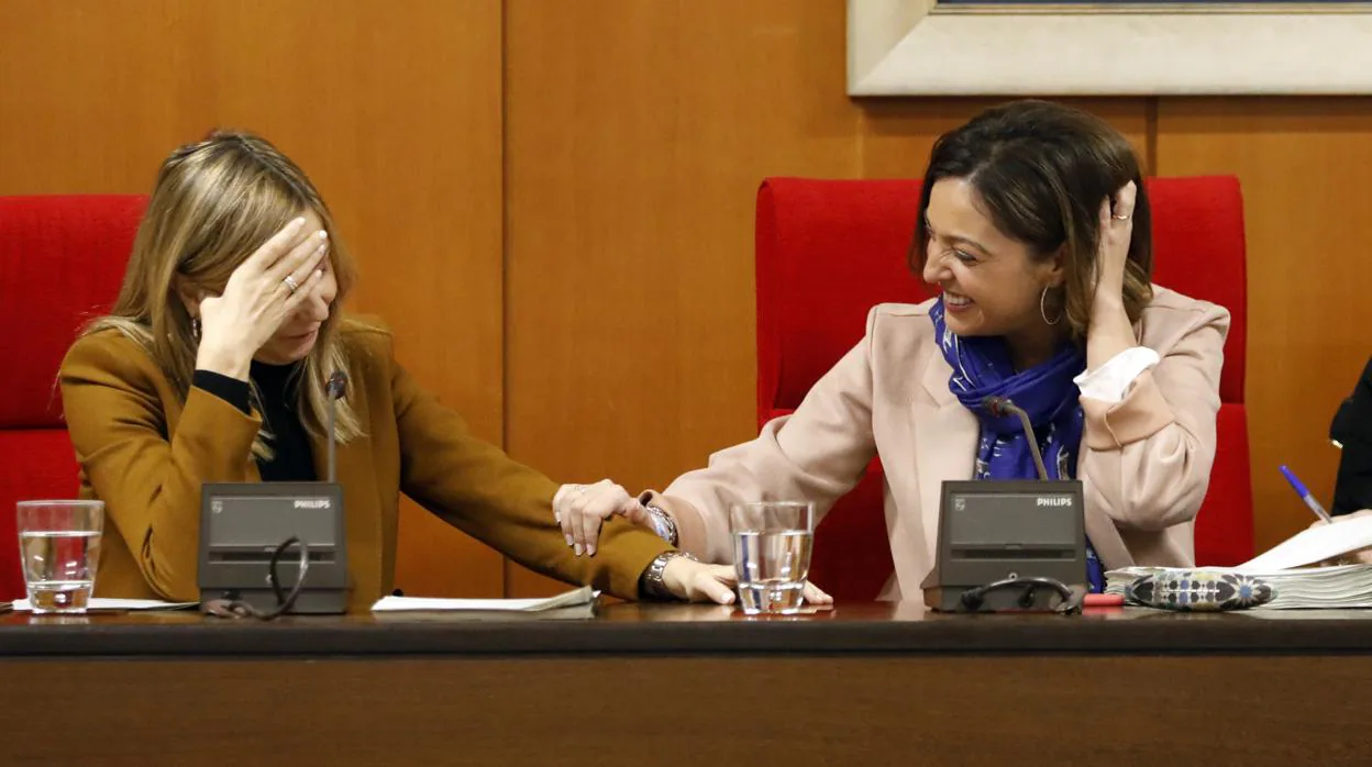 La alcaldesa de Córdoba, Isabel Ambrosio, preside el Pleno municipal