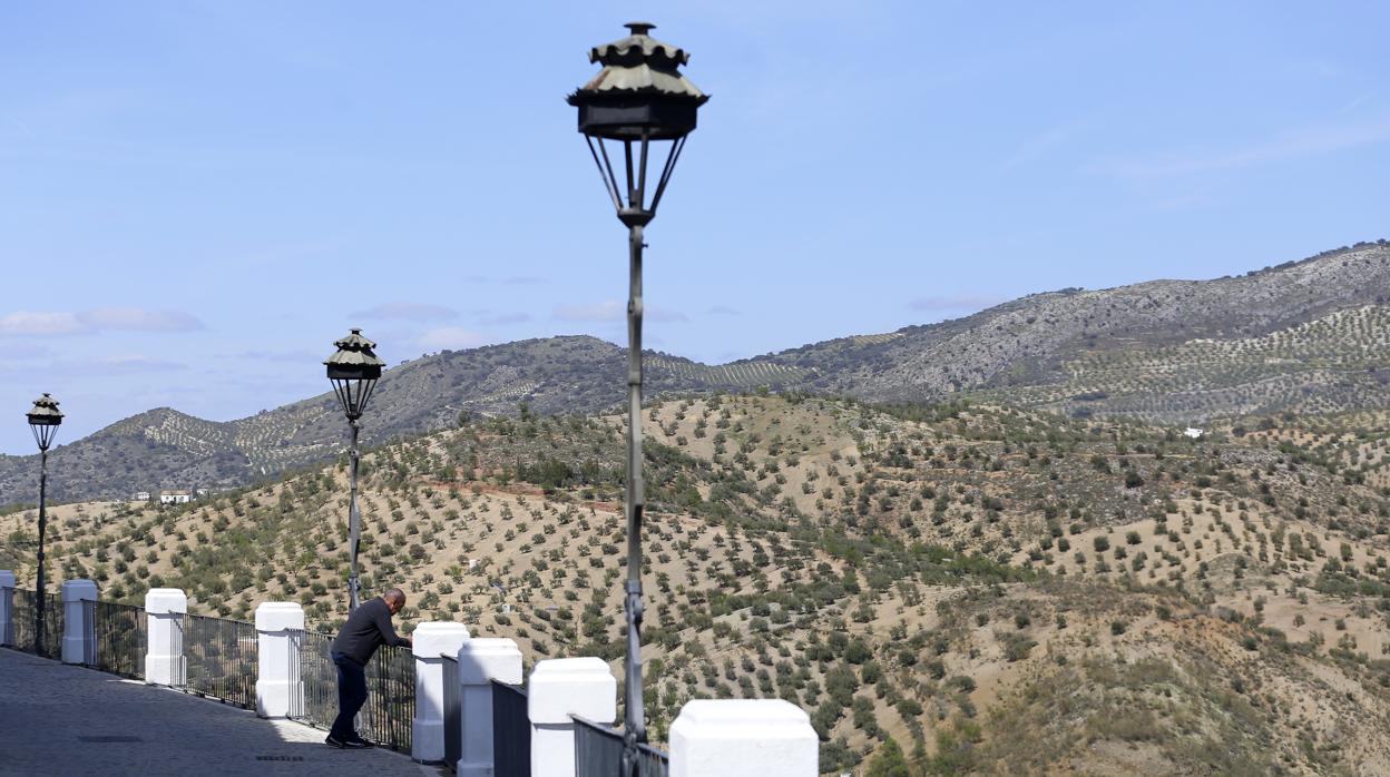 Un hombre apostado en el Adarve de Priego en un «mar» de olivos