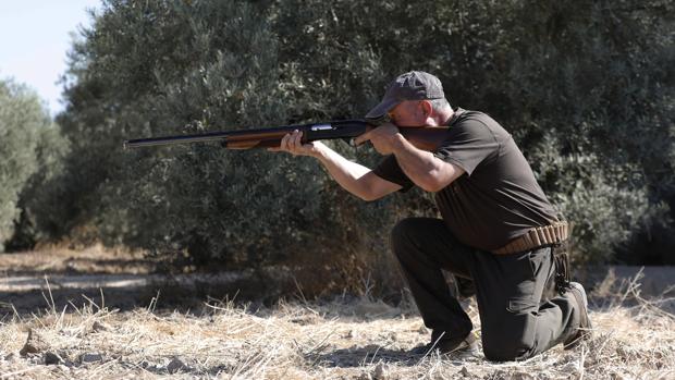 La nueva normativa andaluza de caza: un reglamento con luces y sombras