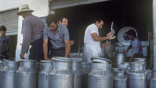 Centro de recogida de leche de la cooperativa que en 1996 se empezó a vender a Colecor