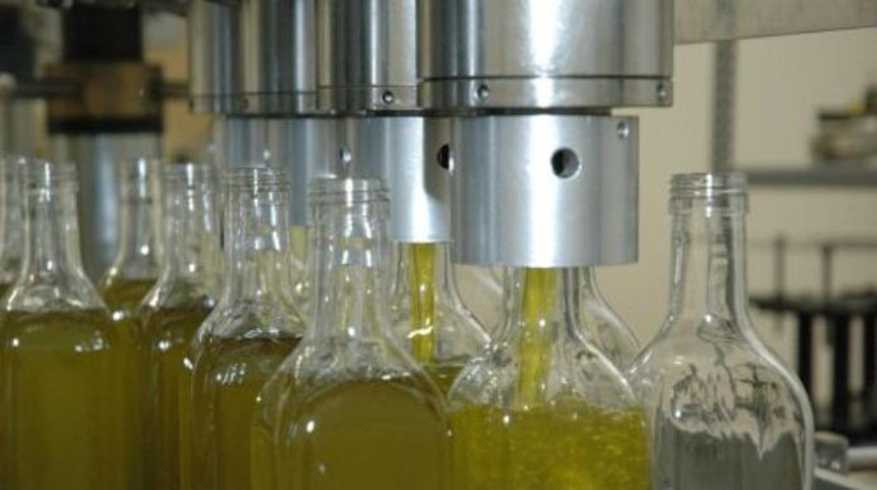 Aceite de oliva producido en Jaén