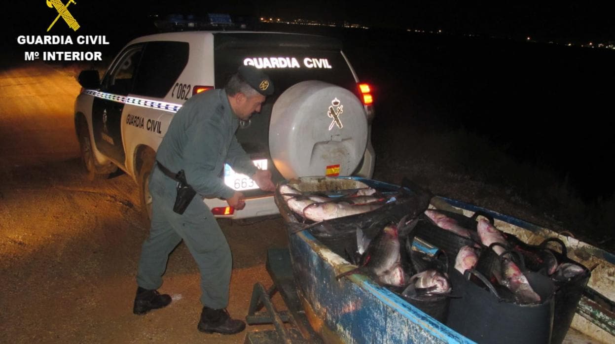 La Guardia Civil sorprende a un furtivo mientras pescaba en zona protegida en Marismas del Odiel