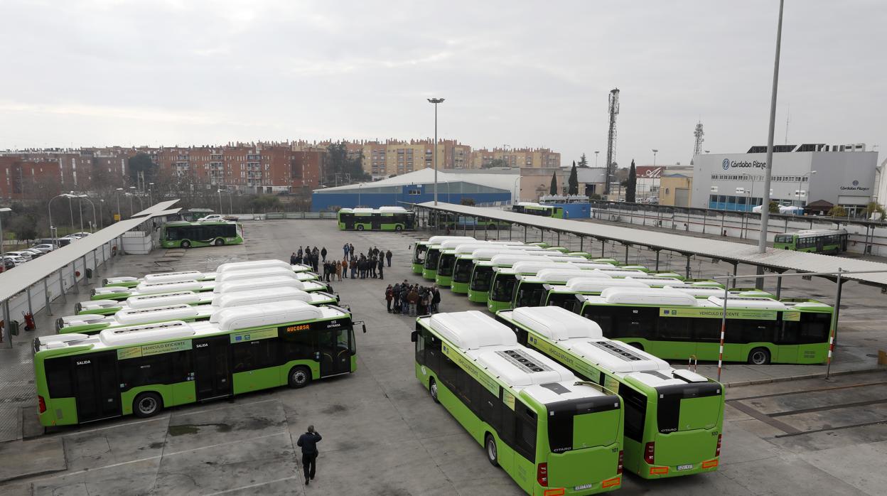 Aucorsa mantienen el pulso al cercanías con sus líneas para la periferia de Córdoba