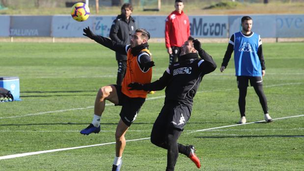 Previa CD Numancia-Córdoba CF | Una vuelta más a la Liga rumbo a la reacción y la permanencia