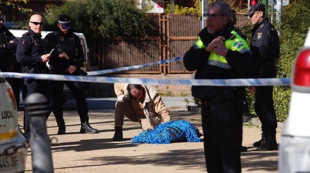 Despliegue policial para atrapar a un jabalí suelto por Córdoba