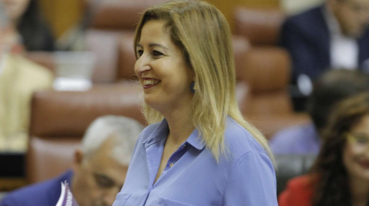 Carmen Lizárraga, en el Parlamento andaluz