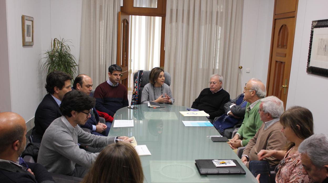 Reunión del cogobierno con colegios profesionales