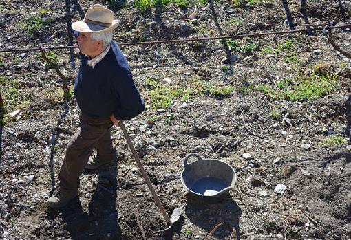 A sus 70 años, vecinos como José Antonio Moreno siguen cuidando sus huertos.