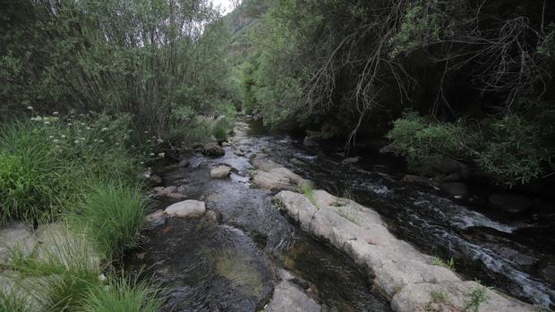 La jueza amplía la investigación a dos profesores por la muerte de un niño en los Baños de Popea de Córdoba