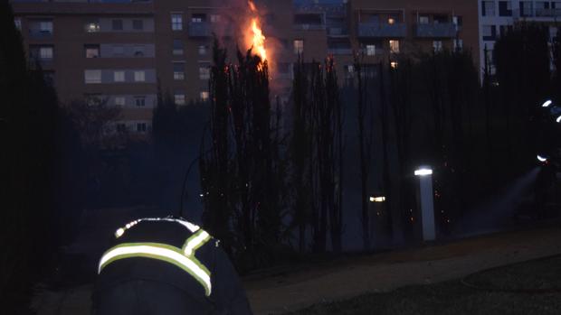 Desalojan el principal parque de Jaén por un incendio