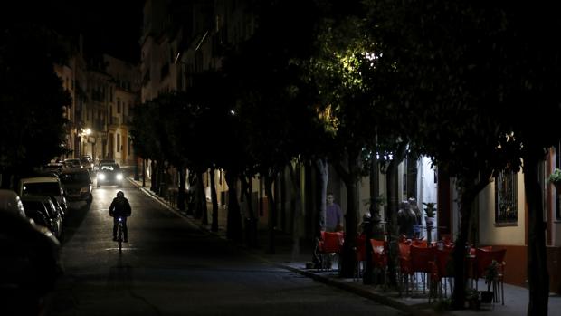 La calle San Fernando de Córdoba, un pasillo donde los naranjos se comen la luz