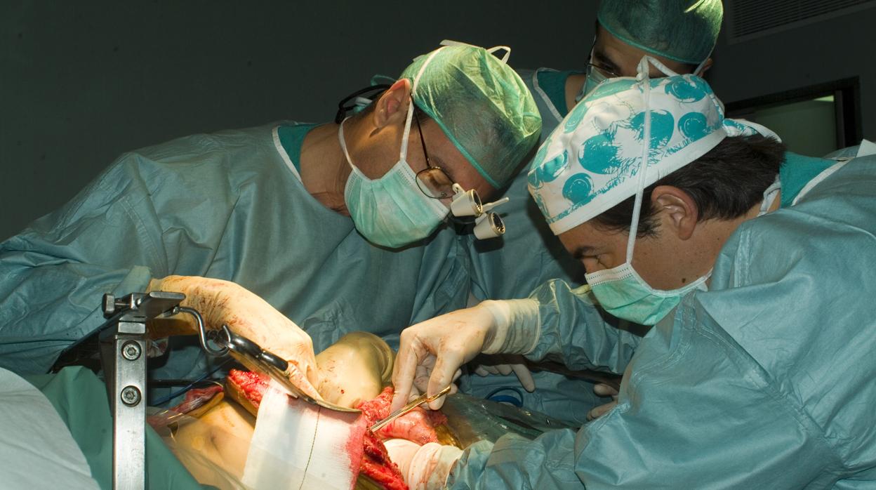 Operacion de transplante en el Hospital Virgen del Rocío de Sevilla