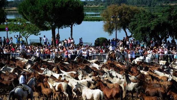 De la capital gastronómica en Almería a Granada como posible ciudad europea de la Cultura