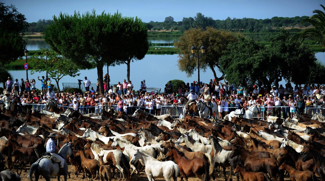 Este año se cumple el 50 aniversario de la creación del Parque Nacional de Doñana y su entorno