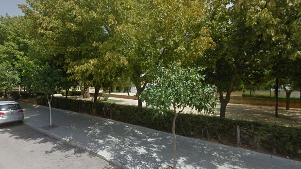 Detenido por abusar sexualmente de dos mujeres en un parque de Huelva