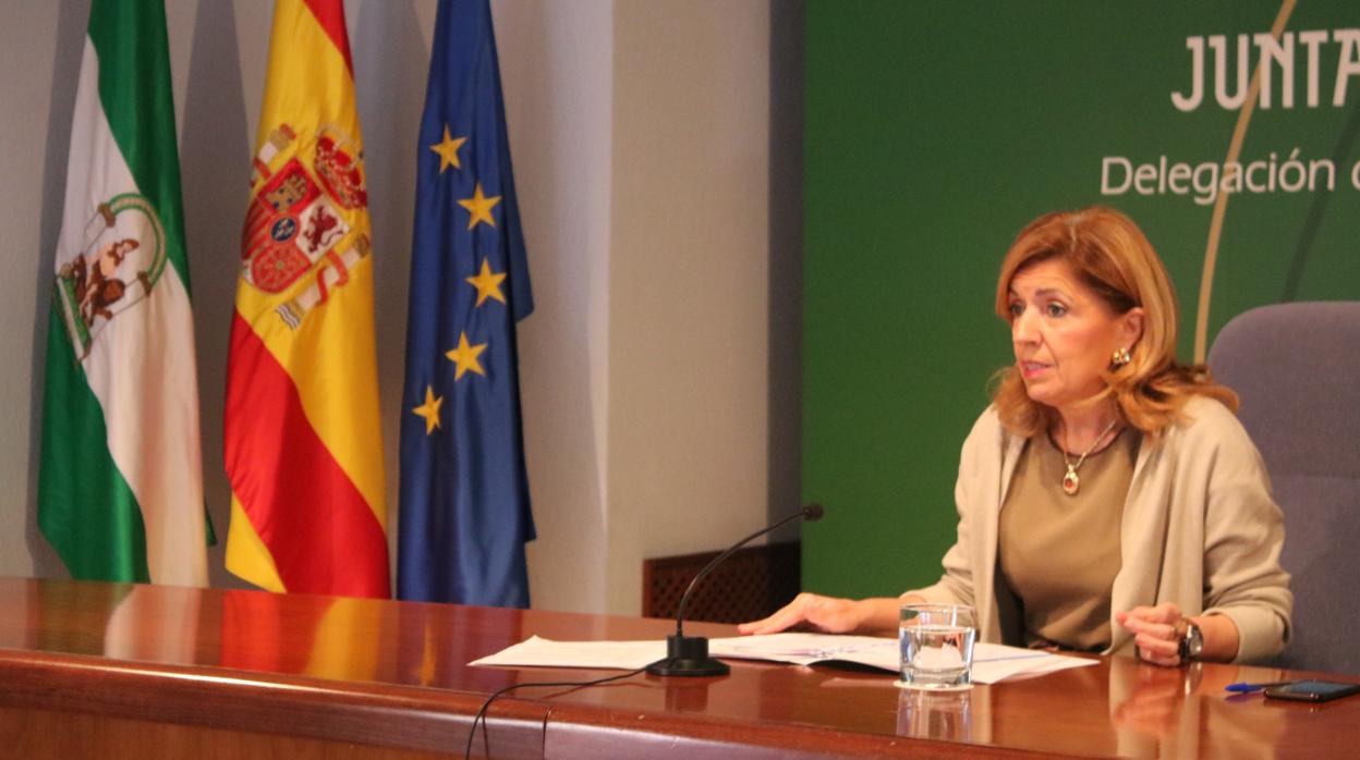 La delegada de Salud, María Jesús Botella, durante la rueda de prensa en San Felipe