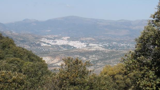 Hallan el cuerpo sin vida del hombre desaparecido en Priego en una finca en la Sierra Albayate