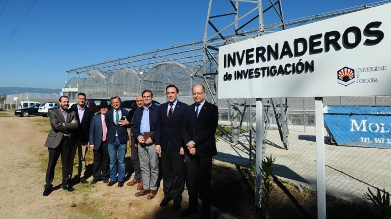 El rector de la Universidad de Córdoba (UCO), ayer en su visita a los invernaderos
