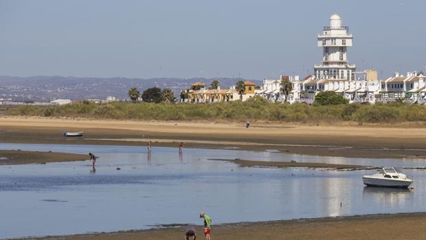 Procesan a dos ex delegados de Medio Ambiente de la Junta en Huelva y otros 10 cargos por delito ambiental