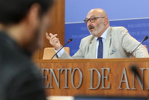 Alejandro Hernández, portavoz de Vox en el Parlamento