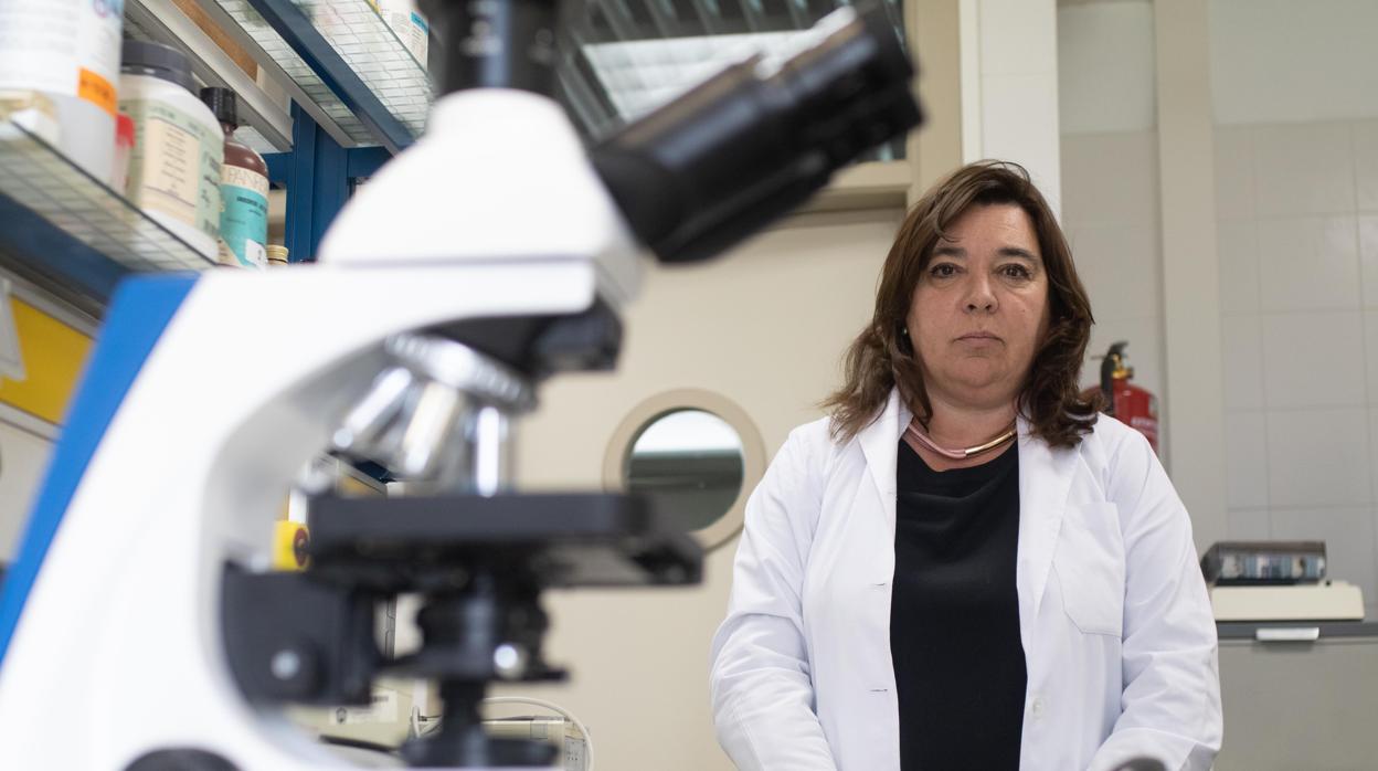 Salud Serrano, en su laboratorio