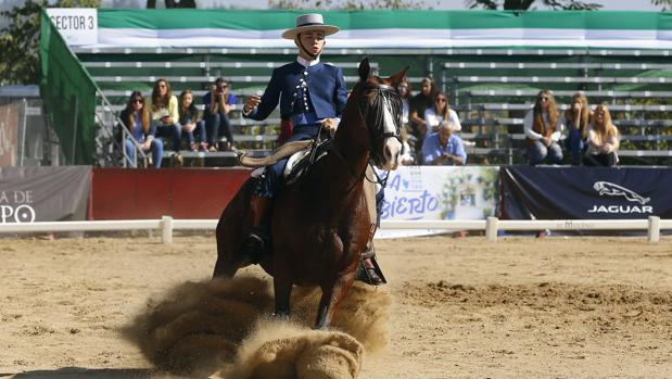 Acusan a la Federación Andaluza de Hípica de «traición» por no votar a Córdoba para el Mundial de Doma