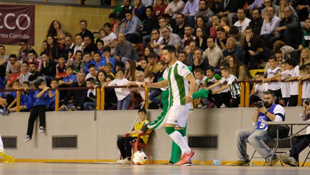 Las cuentas del Córdoba CF Futsal para atar el play off matemáticamente dos jornadas antes del final