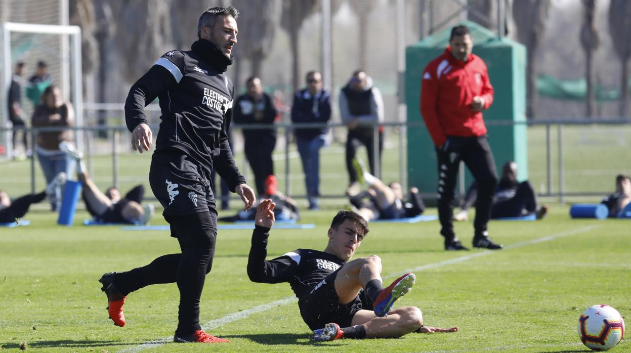 El delantero del Córdoba CF Federico Piovaccari pugna por un balón con Aguado