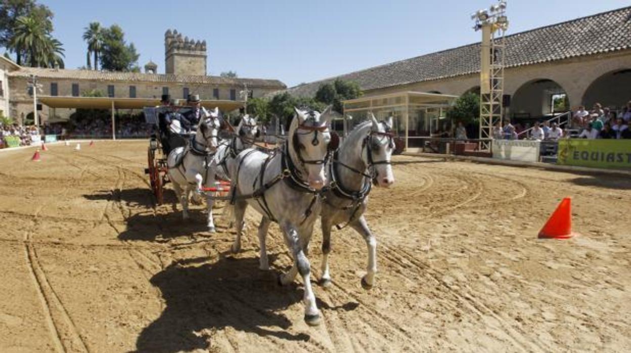 Espectáculo en Caballerizas Reales