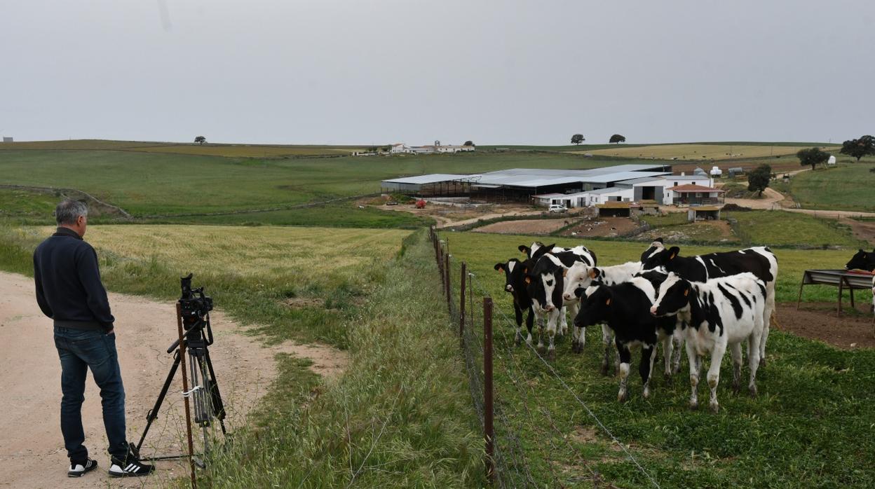 Finca de Pozoblanco donde se produjo el atropello de un menor con tractor