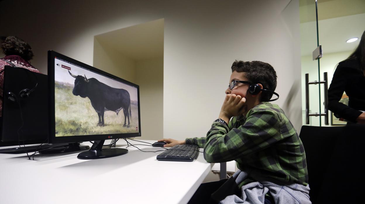 Un joven ante una de las pantallas interactivas del Museo Taurino de Córdoba