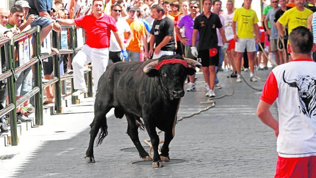 Los seguros tendrán que cubrir también a los corredores de fiestas taurinas populares de Córdoba