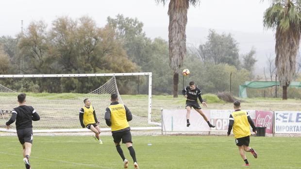 ¿Qué le espera al Córdoba CF después de no jugar contra el Reus?