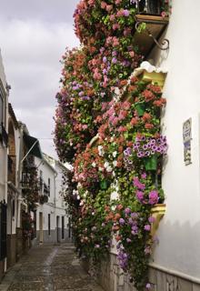 Reja en Hornachuelos