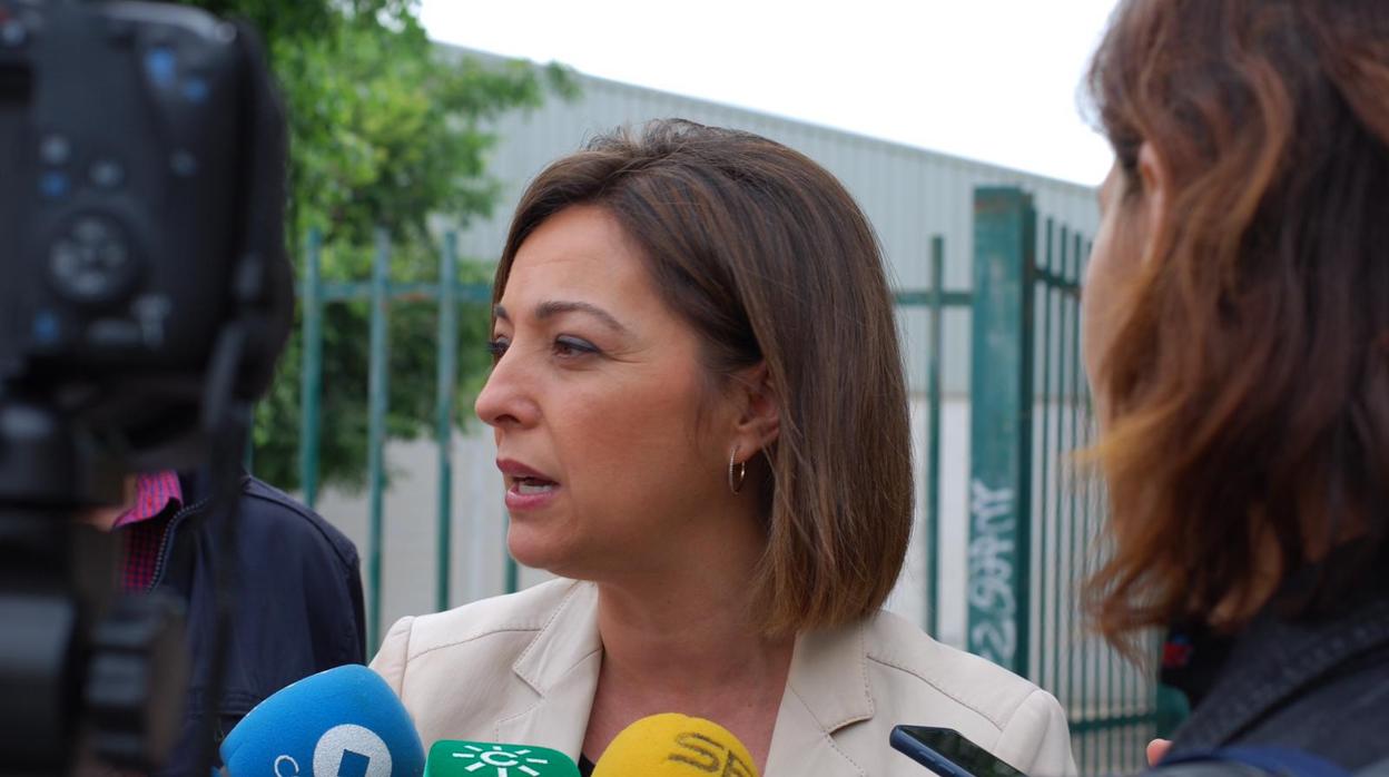 Isabel Ambrosio durante su visita al Cerro de La Golondrina