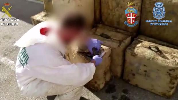 Alianza mafiosa para sacar a un capo calabrés de la prisión de Alhaurín de la Torre