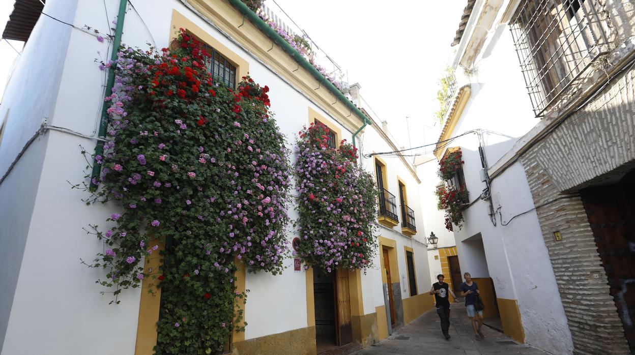 Rejas y Balcones de la calle Romero de Torres, 9, que ha logrado el tercer premio