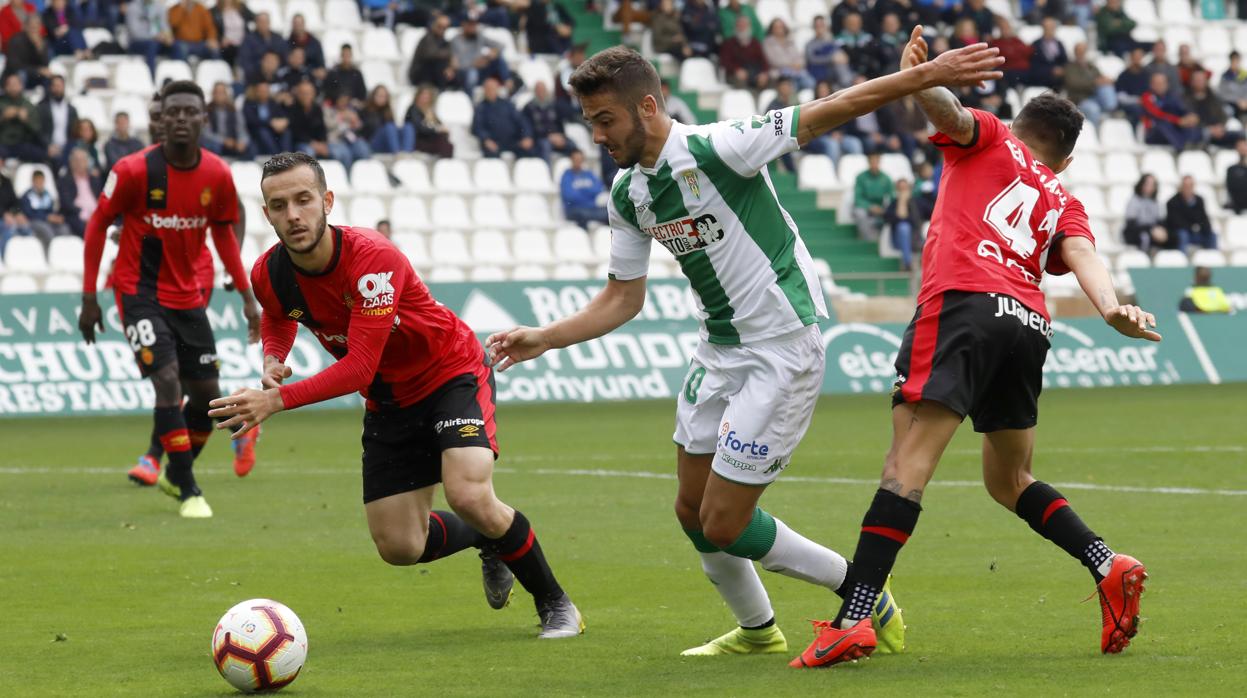 El delantero del Córdoba Andrés Martín, en el partido ante el Real Mallorca