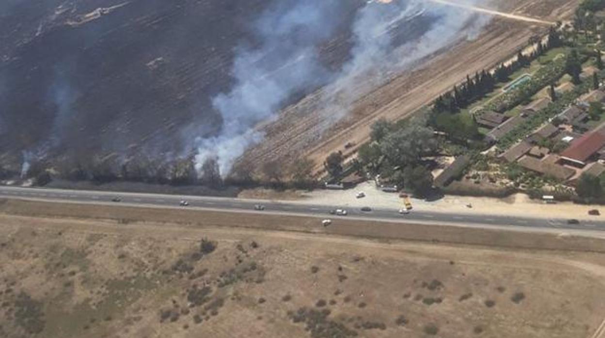 El incendio en Almonte