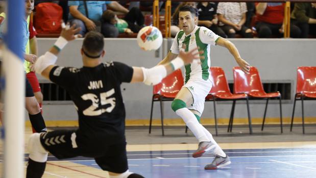 Sigue aquí en directo por televisión el Córdoba Futsal-Mengíbar