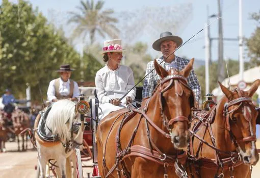 Coches de caballos en la Feria de Córdoba