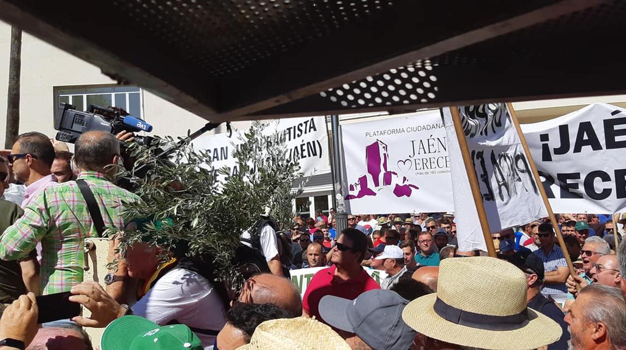 Agricultores concentrados ante la Subdelegación del Gobierno de Jaén en protesta por el bajo precio del aceite