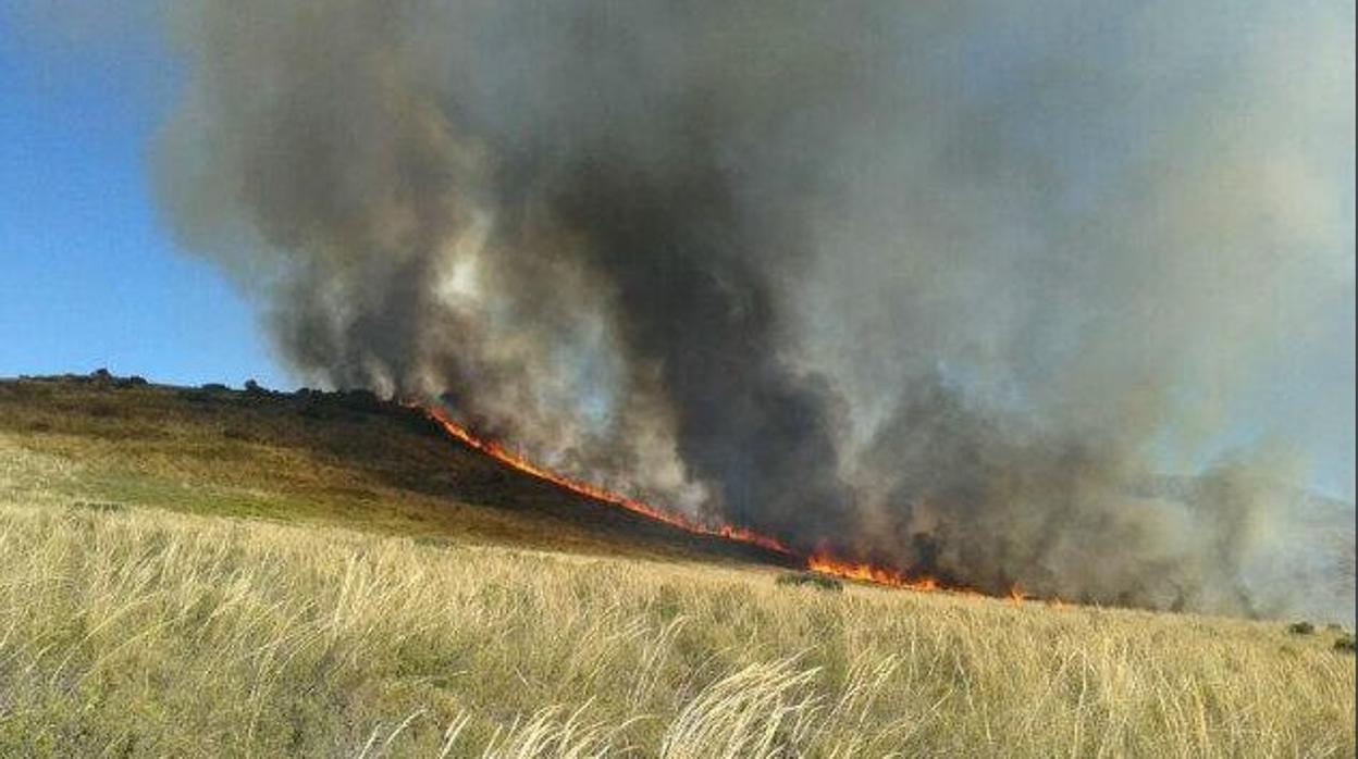 Fuego en la el municipio granadino de Arenas del Rey