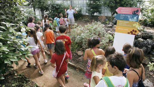 Una actividad de la Escuela de Verano de Córdoba en el Jardín Botánico