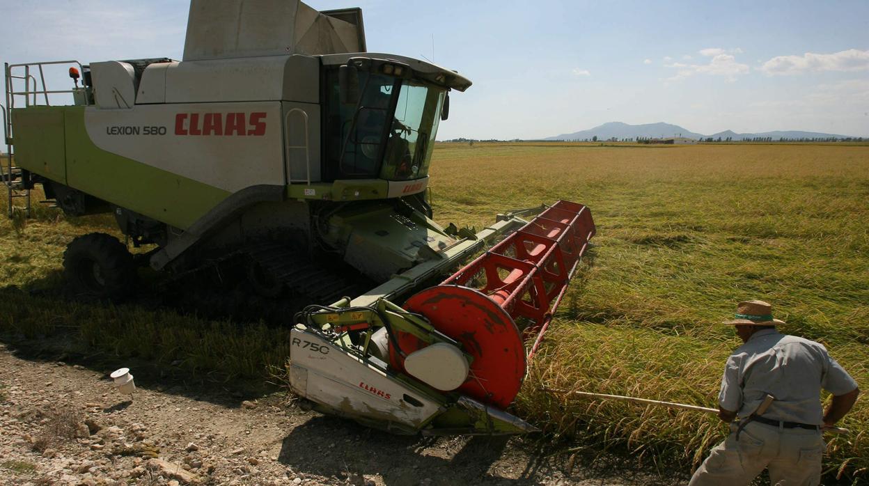 Sale de la UCI el agricultor que sufrió un golpe de calor cuando trabajaba en el campo